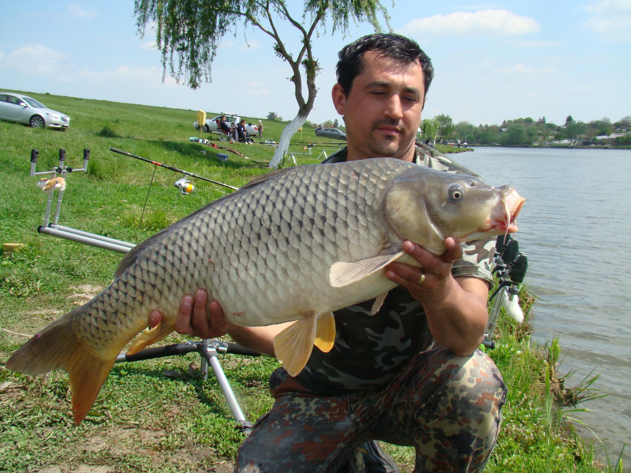 Moara Vlasiei 2 27 - 29 apr.2010 - DSC03032.JPG